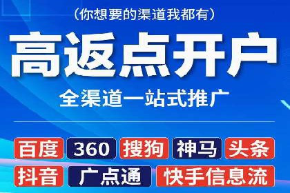 谷歌SEM与移动端优化：某APP的推广策略及效果